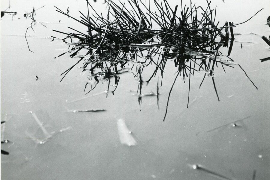 Camargue inconnue, Compagne de Massy, „Creation Photographique“, 18 bis, rue Gambetta, Massy